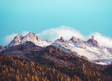 华体会官网登录-女篮世界杯丨中国女篮战胜马里队 取得资格赛开门红